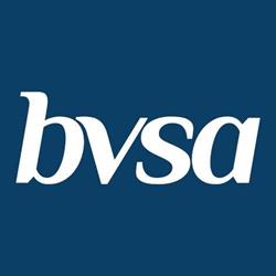 BVSA Audit Inc