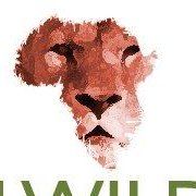African Wild Travel
