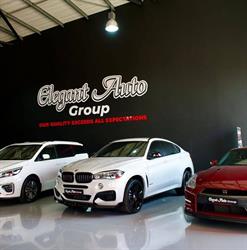 Elegant Auto Group