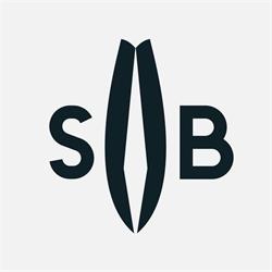 Surf Boss 031