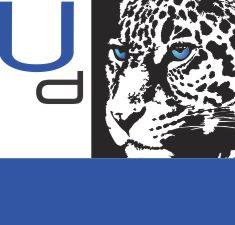 Ushaka Designs