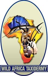 Wild Africa Taxidermy