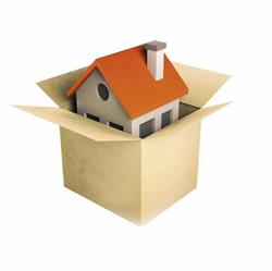 Bloemline Furniture Removals