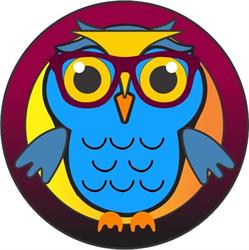Wise Eye Reading Academy- Hermanus/Overstrand
