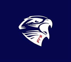 Falcon Risk Solutions
