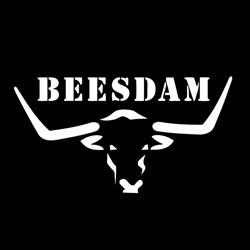 Beesdam Seat Covers Pretoria