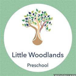Little Woodlands Preschool Clubview