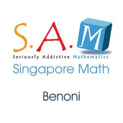 Seriously Addictive Mathematics Benoni
