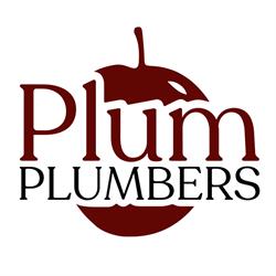 PlumPlumbers