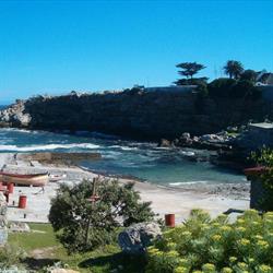 Accommodation Galore