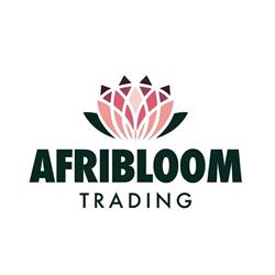 Afribloom trading