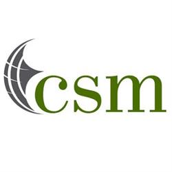 CSM Consulting Services