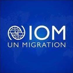 IOM South Africa