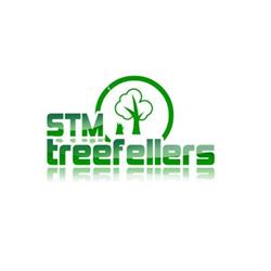 STM Tree Fellers