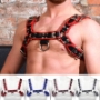 BDSM harness
