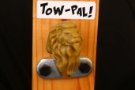 Rugby Lion on Display