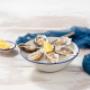 OYSTERS