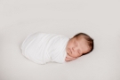 Newborn