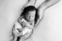 newborn_photography