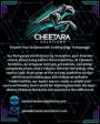 Cheetara Info 1