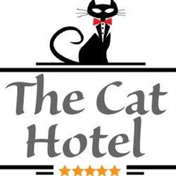 The Cat Hotel