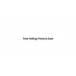 Tree Felling Pretoria East