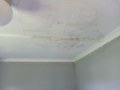 Stained ceiling