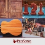 ProSono Hardwoods