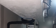 freezer-room
