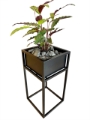 Steel Planters