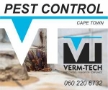 cockroach fumigation