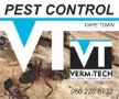 Pest control Cape Town