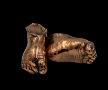 Bronzed cast toddler feet
