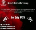 Social Media