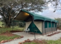 Albizia Tented Camp en suite tent with private kitchen