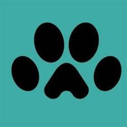 Durban North Veterinary Hospital