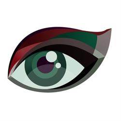 Corné Swart Optometrist