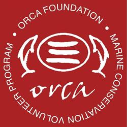 The Orca Foundation