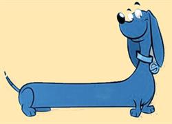 Southbroom Veterinary Hospital
