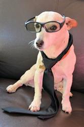 Wessel Oosthuizen Attorneys