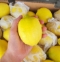 Fresh Lemons