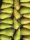 Fresh Pears