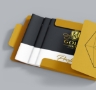 White Paper Concepts - Folder and Brochures