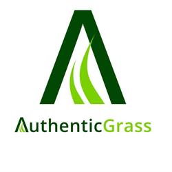 Authentic Grass