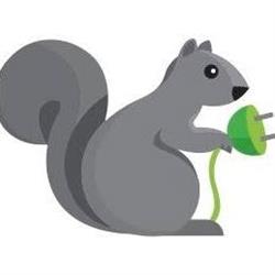 Chilled Squirrel Electric bikes