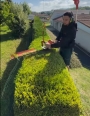 Hedge trimming