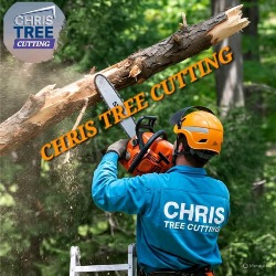 CJ TREE FELLING PTY LTD