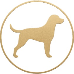 Tolcketna Kennels | Golden Retriever, Beagle & Husky Breeder