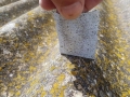 Encapsulation