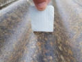 Encapsulation